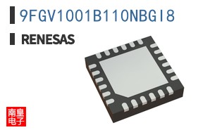 9FGV1001B110NBGI8