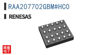 RAA207702GBM#HC0