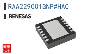 RAA229001GNP#HA0