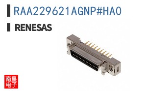 RAA229621AGNP#HA0